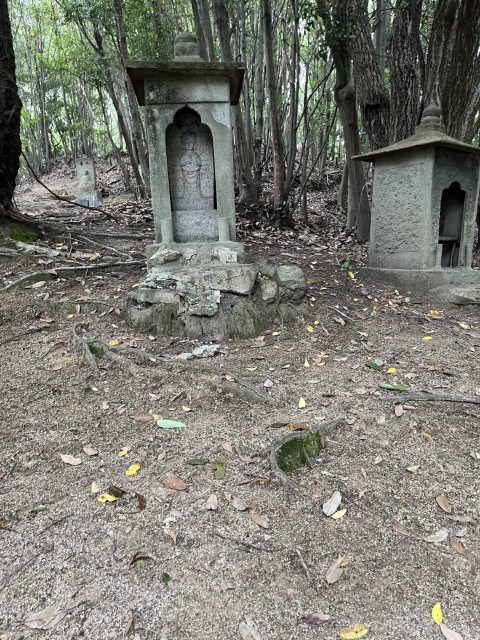 �Ε�����