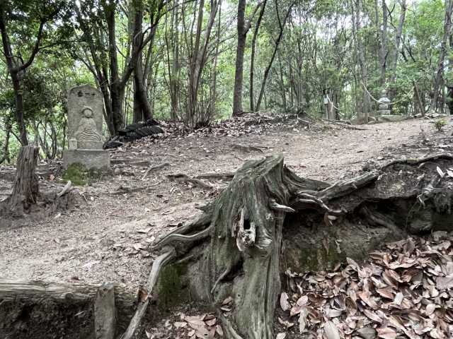 �Ε��\���