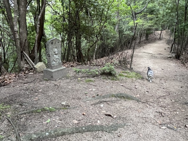 �Ε��\���