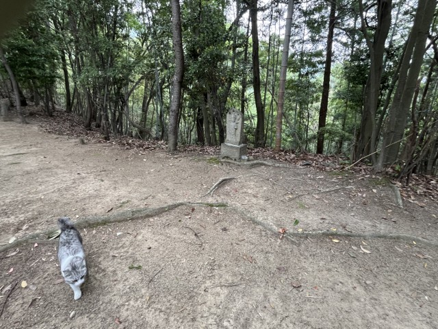 �Ε��\�O��