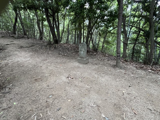 �Ε��\�l��