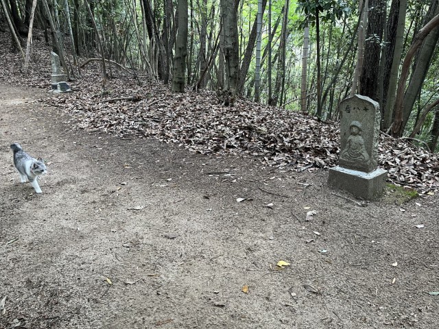 �Ε��\����