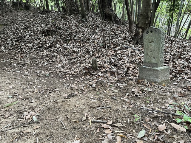 �Ε���\��