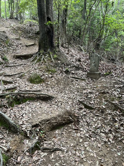 �Ε���\�O��