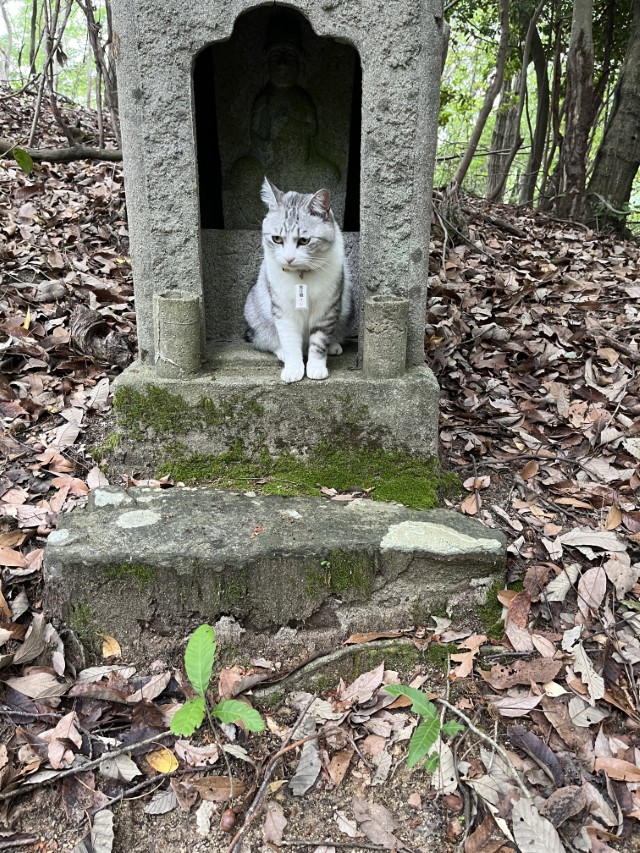 �Ε���\�l��