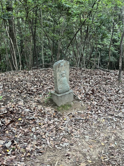 �Ε���\�Z��