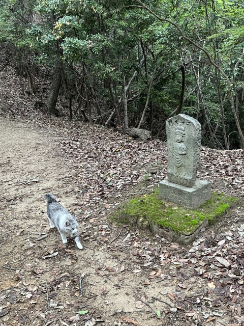 �Ε���\����