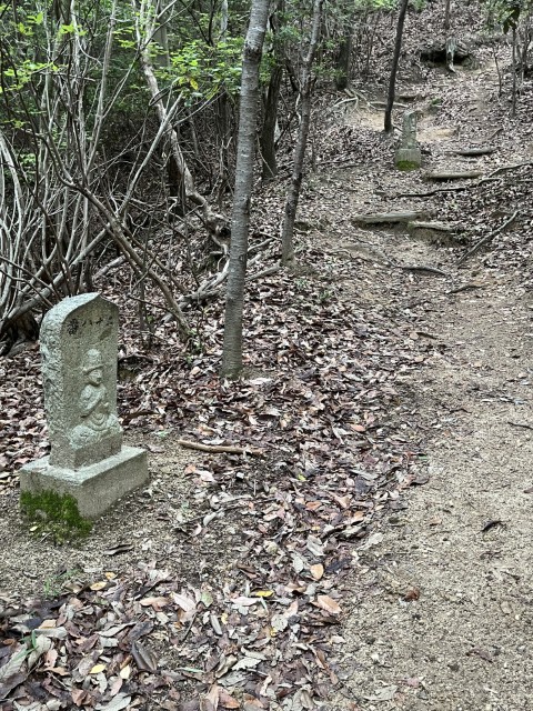 �Ε���\����