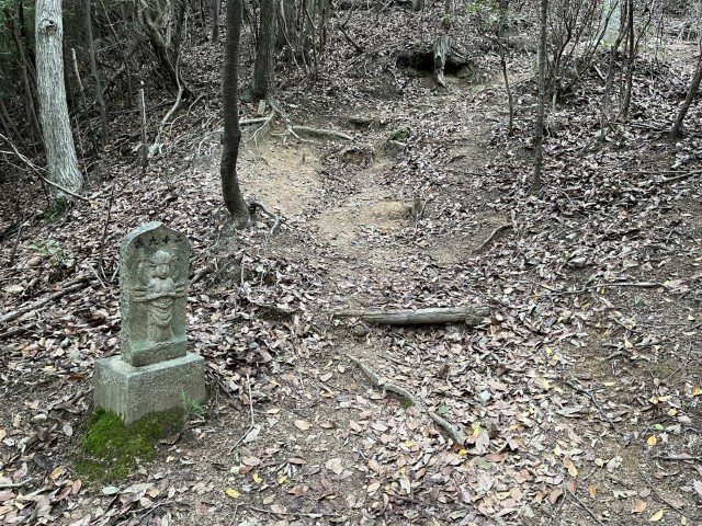 �Ε���\���