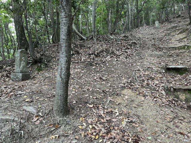 �Ε��O�\�O��