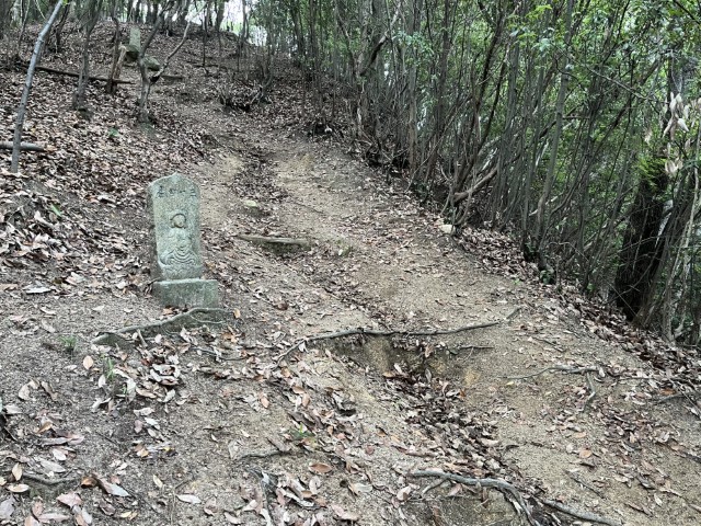 �Ε��O�\�l��