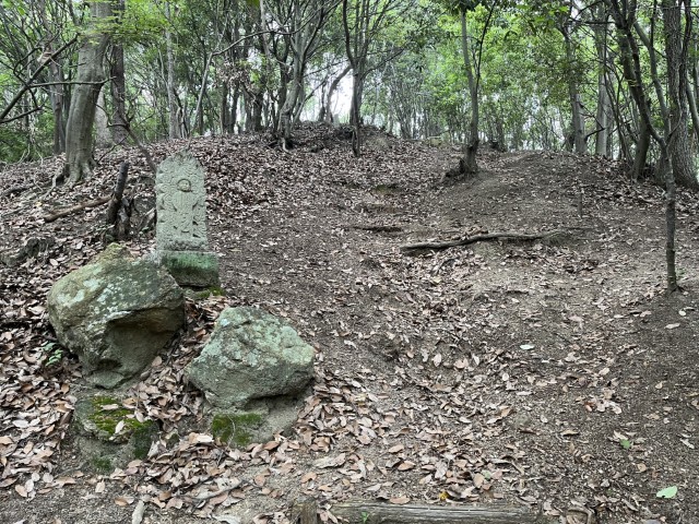 �Ε��O�\�Z��