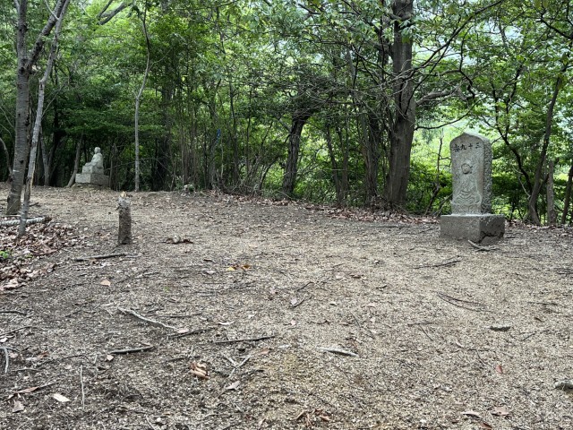 �Ε��O�\���