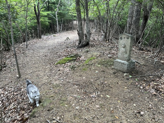 �Ε��l�\��