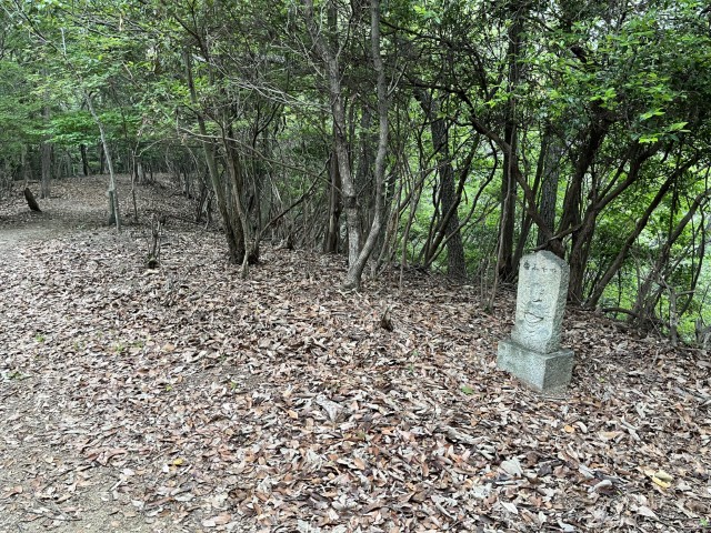 �Ε��l�\�O��