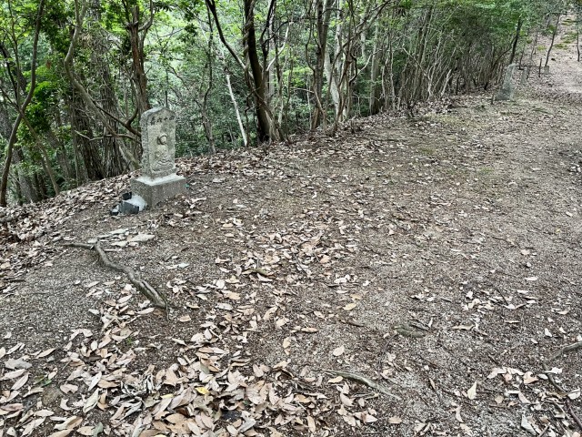 �Ε��l�\�Z��