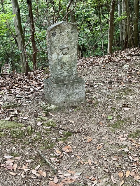 �Ε��l�\����