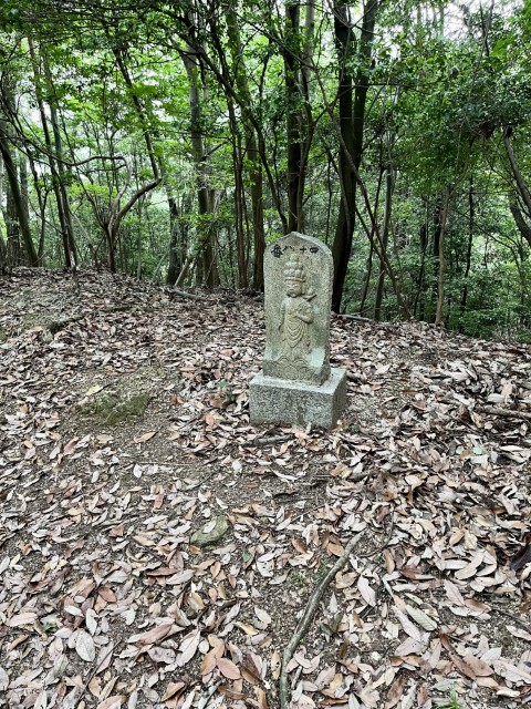 �Ε��l�\����