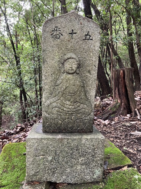 �Ε��܏\��