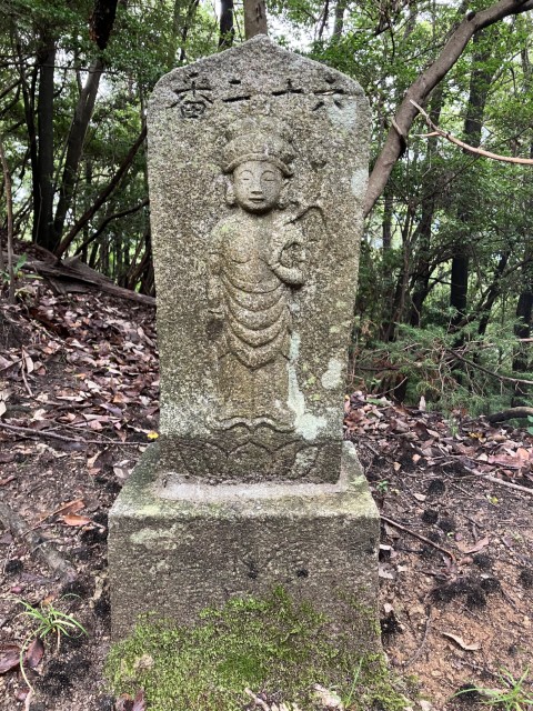 �Ε��Z�\���