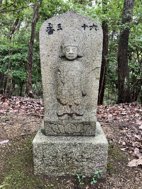 �Ε��Z�\�O��