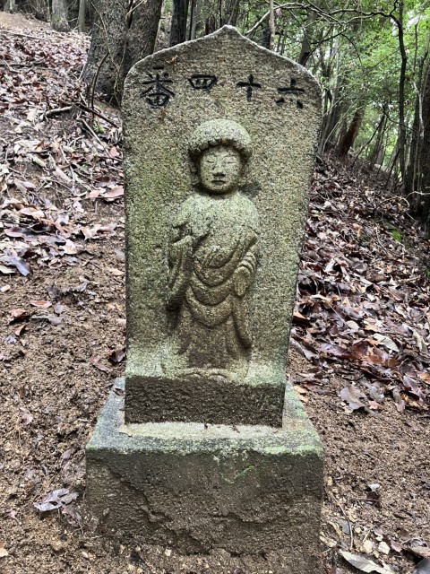 �Ε��Z�\�l��