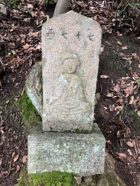 �Ε����\����