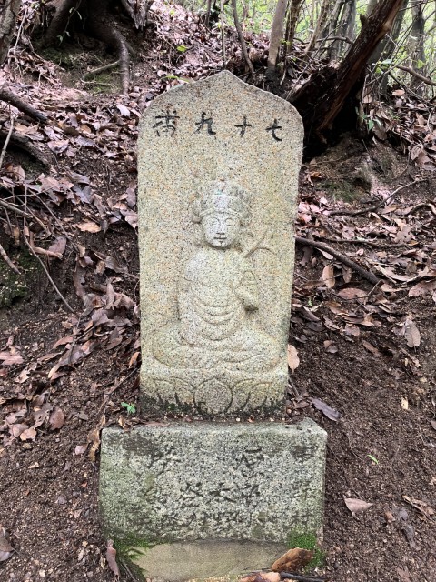 �Ε����\���