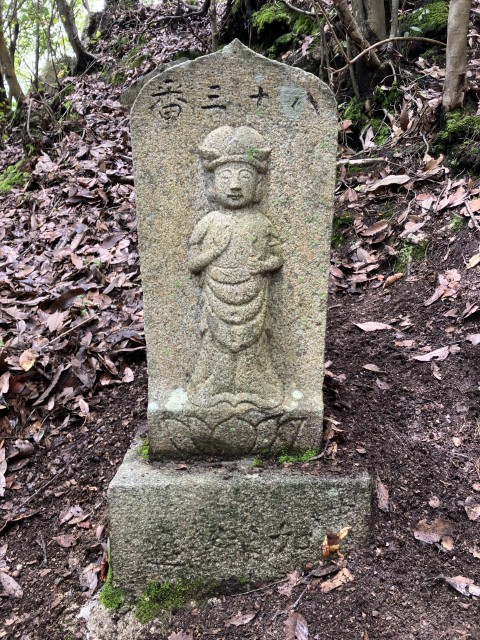 �Ε����\�O��