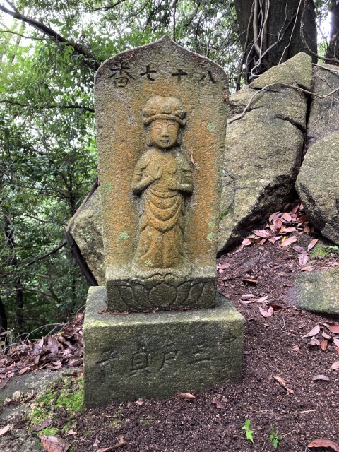 �Ε����\����